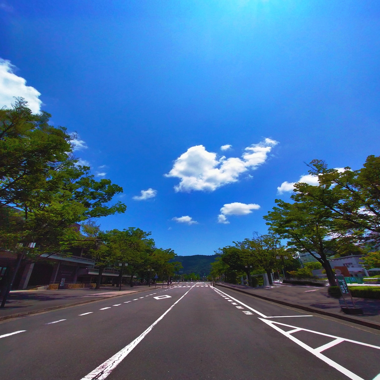 デジタル、アナログ写真加工いたします 大切な思い出はいつまでもきれいに残しておきたいですよね イメージ4