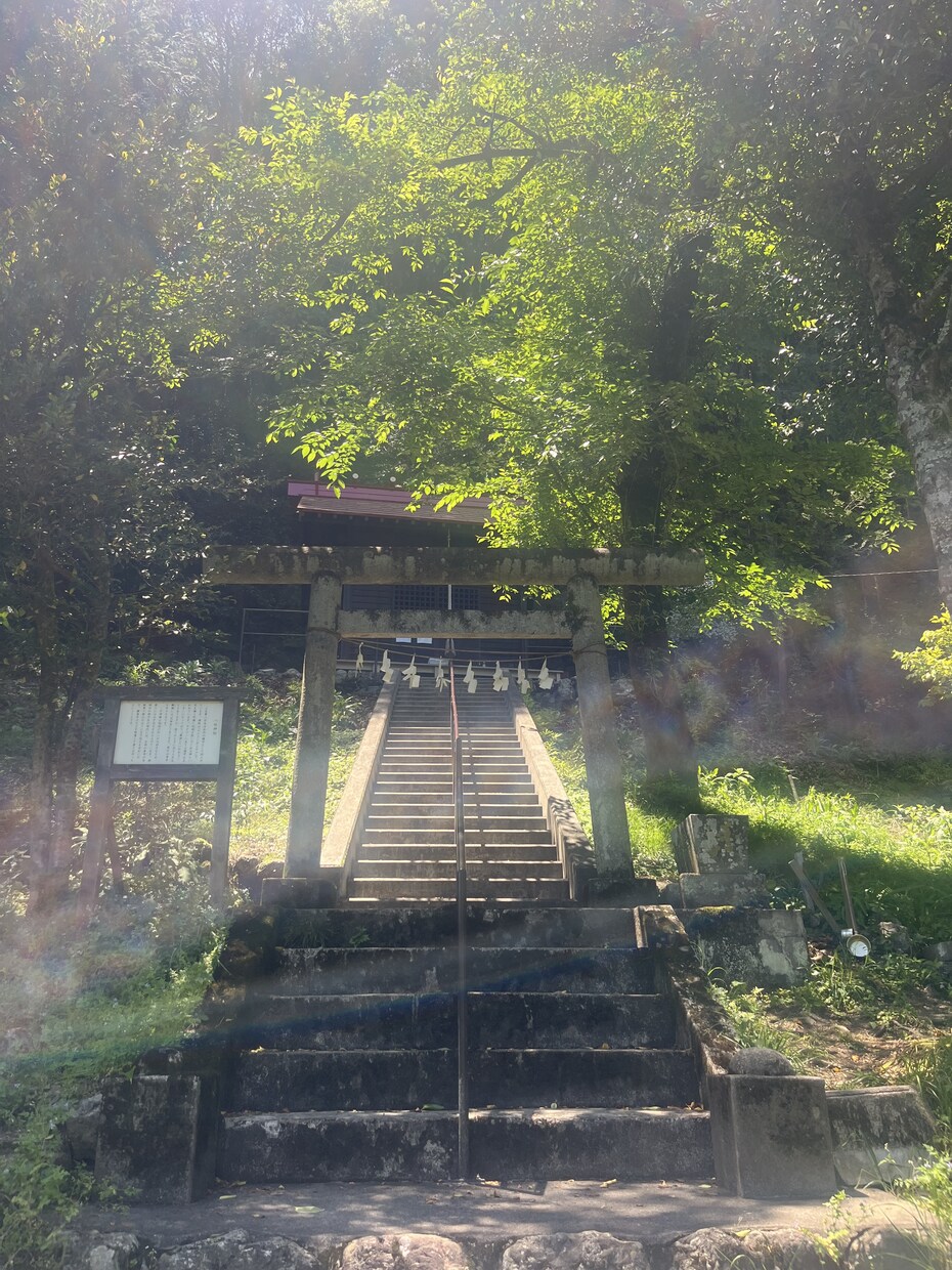 愚痴、話し相手、相談、アドバイスなんでも承ります どんな悩みでも聞かせて下さい。必ず力になりますᕦ(ò_óˇ) イメージ1