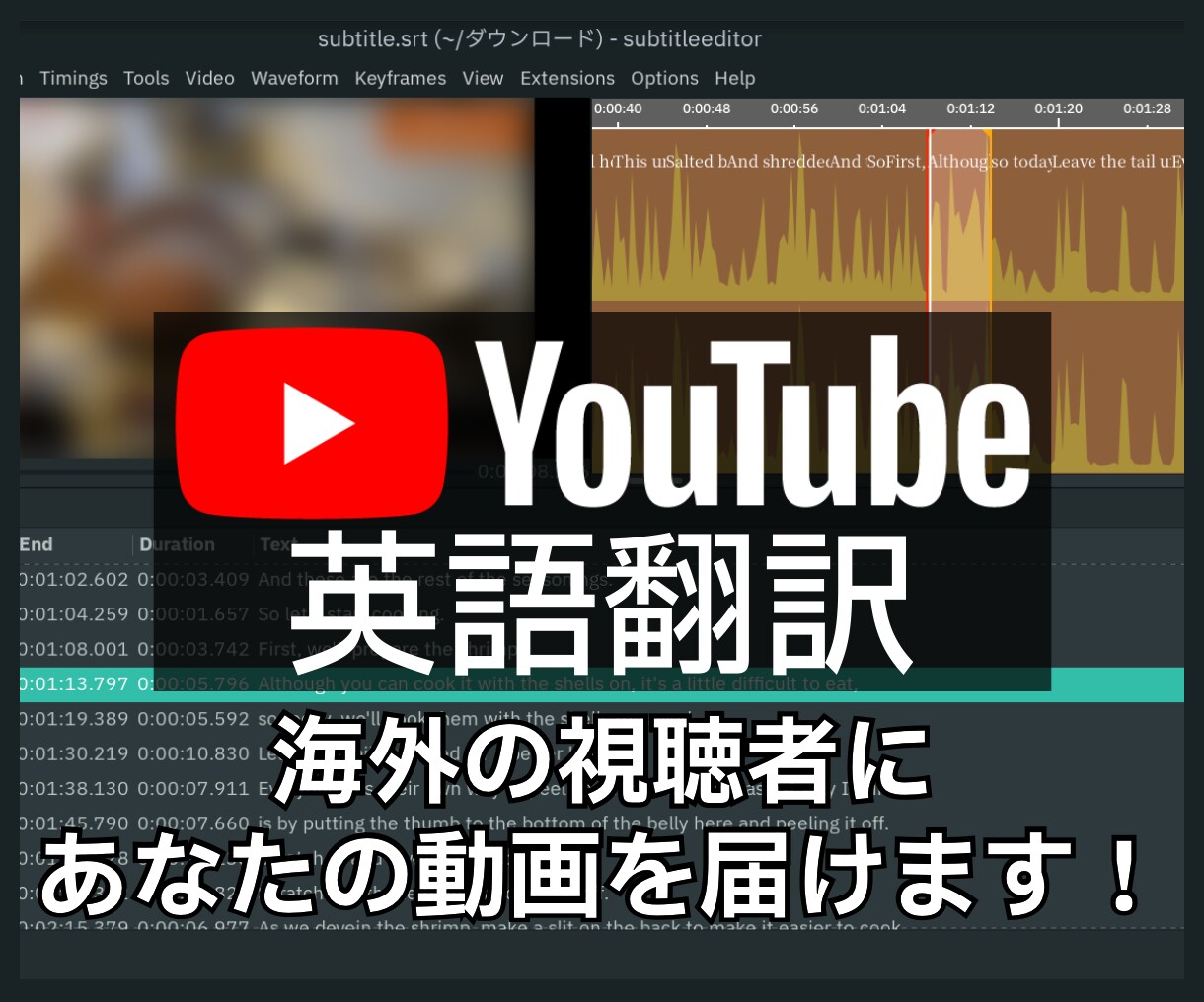 ネイティブがYouTubeの英語翻訳字幕を作ります TOEIC955点/実績200本超/NHK放映番組の経験あり イメージ1
