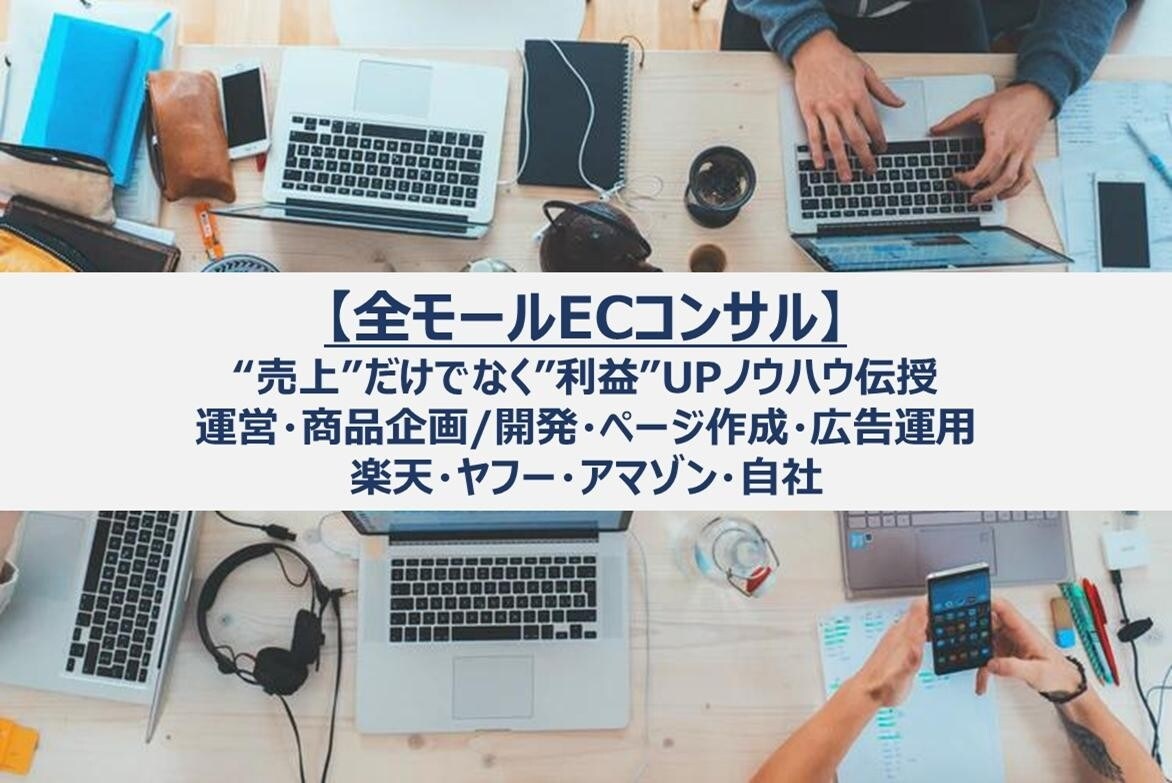 月額 ECビジネス拡大目指して親身にコンサルします スタートしたばかり、伸び悩んでる店舗を本気でサポートします！ イメージ1