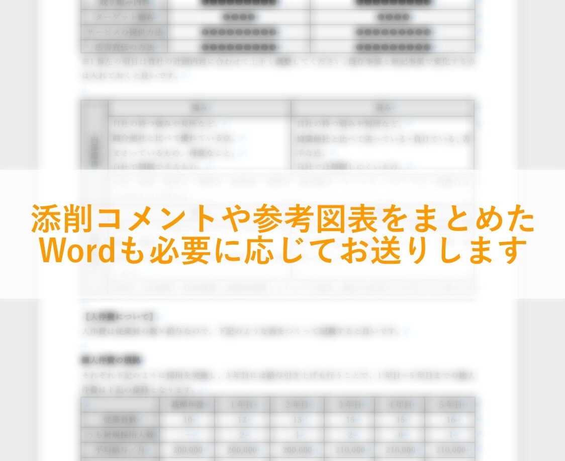 小規模事業者持続化補助金の申請書を添削します 経済産業省が認定する経営革新等支援機関が改善点をアドバイス！ イメージ4