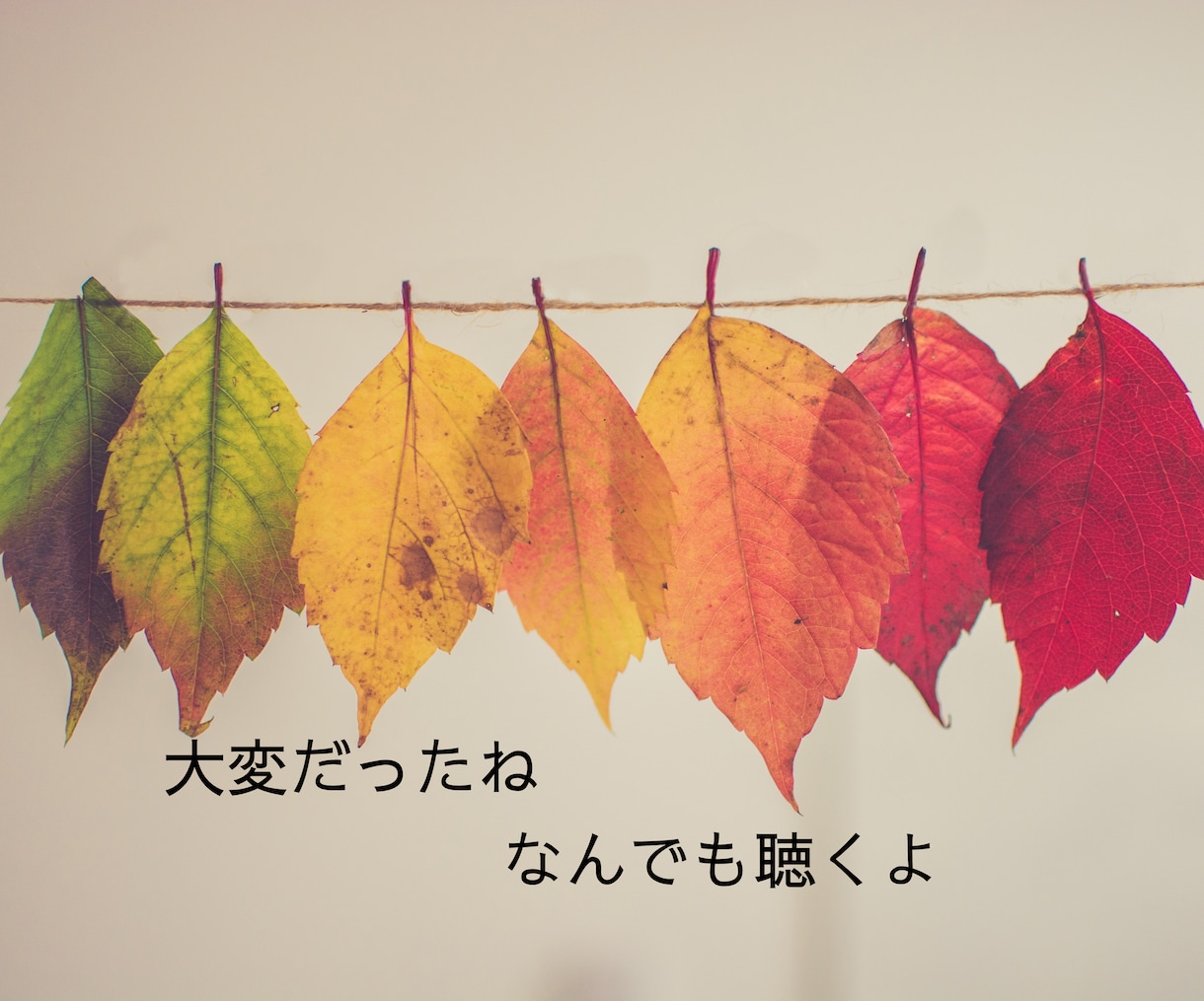 誰かに話したい貴方へ✨️‬優しくお話をお聴きします お悩み/愚痴/雑談/不安…心を整えるお手伝いをします。 イメージ5