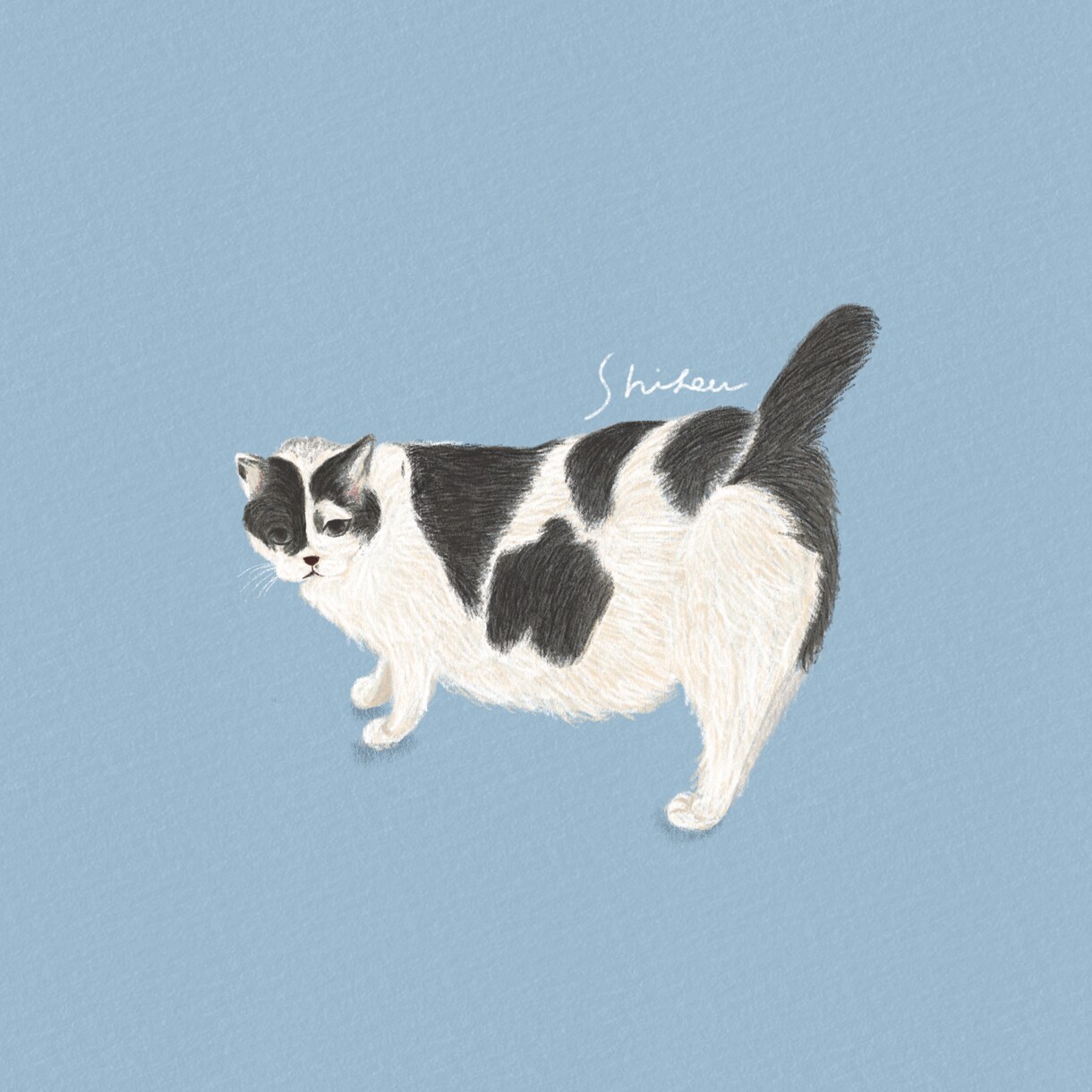 思い出に残る心温まるペットちゃんのイラスト描きます 写真とはまた違うほんわか可愛い温かみのあるイラストです イメージ9