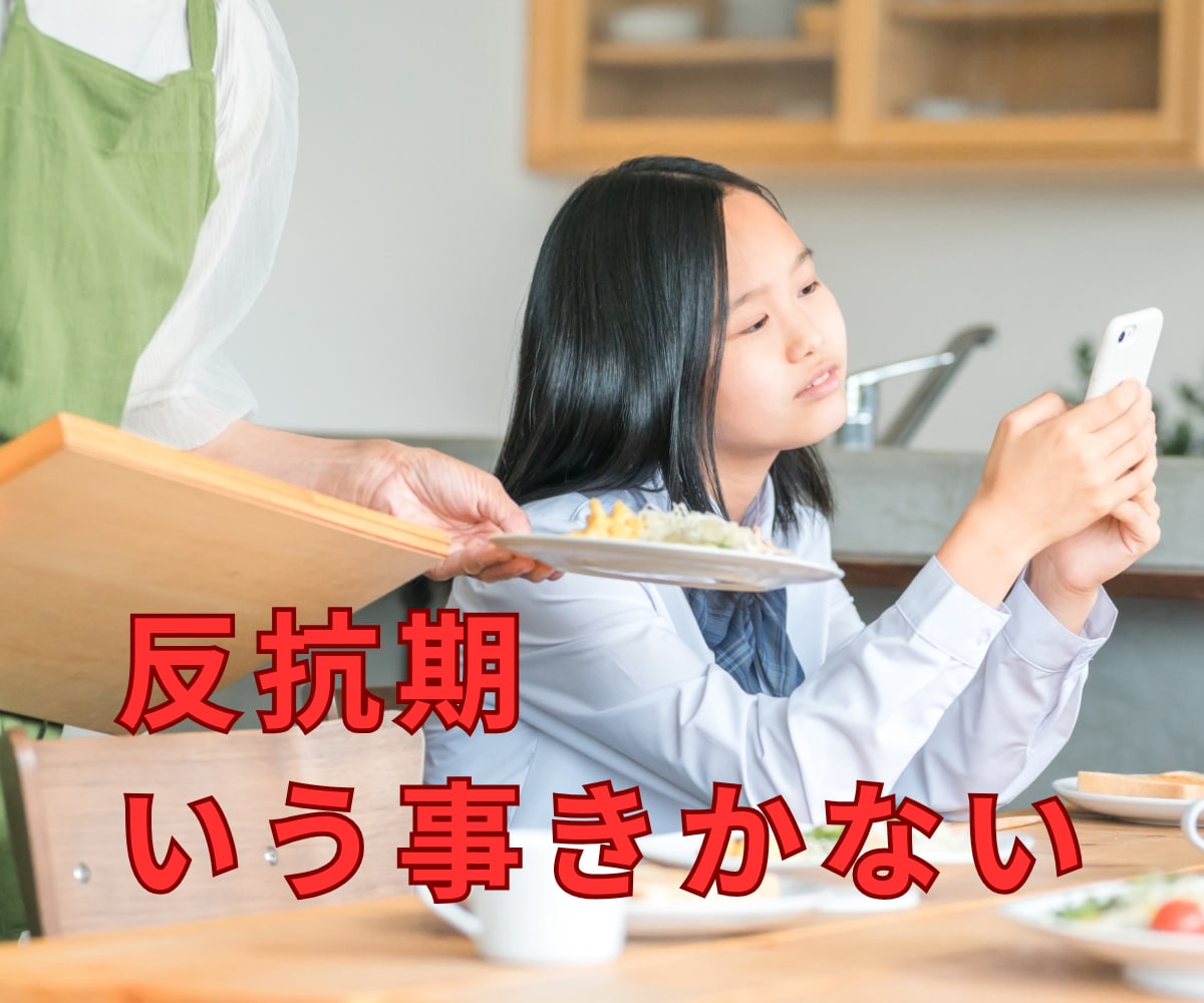 イラッ、ムカッ、モヤる、その気持ち昇華させます 家庭の中で嫌なこと吐き出してスッキリ！ イメージ2