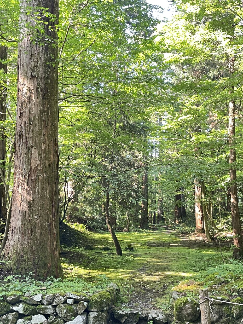 彼の一言で天国と地獄になる恋をしてる人相談のります 彼に振り回される恋愛、もうやめたい人の相談のります イメージ2
