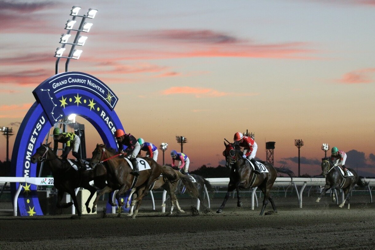 北海道競馬！南関東競馬！やります 人気ない馬が・・・そんな馬を何頭か馬券に絡めてみませんか？ イメージ1