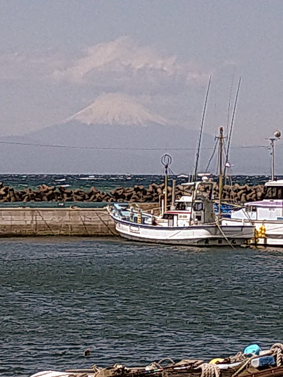写真撮るのが好きです。よろしくお願いします 写真撮るの好きです。よろしくお願いします。 イメージ4