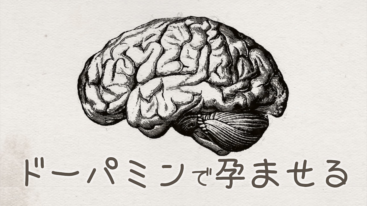 好奇心を強奪〜-サムネ.キャッチコピー制作します 再生数増加に効果的なサムネイルとキャッチコピーを考案します イメージ2