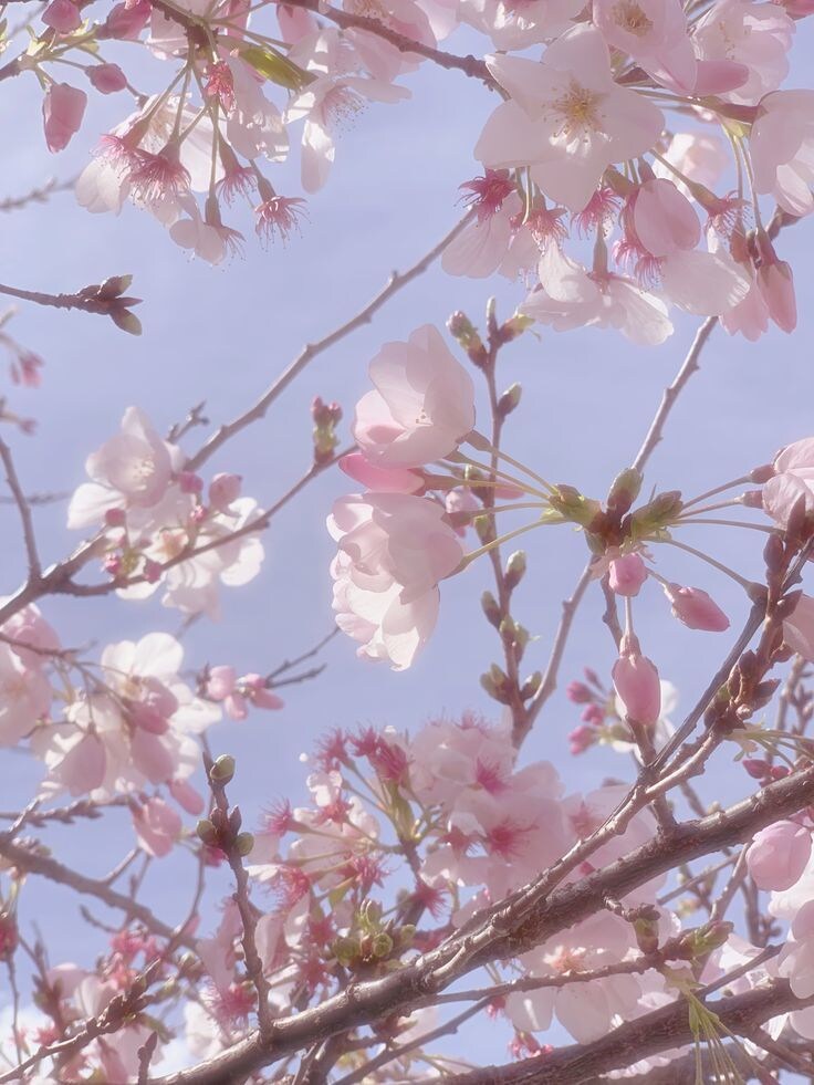 ただ聞いてほしい方へ】心のモヤモヤ受け止めます あなたの心が少しでも軽くなるように真心込めてお返事いたします イメージ1