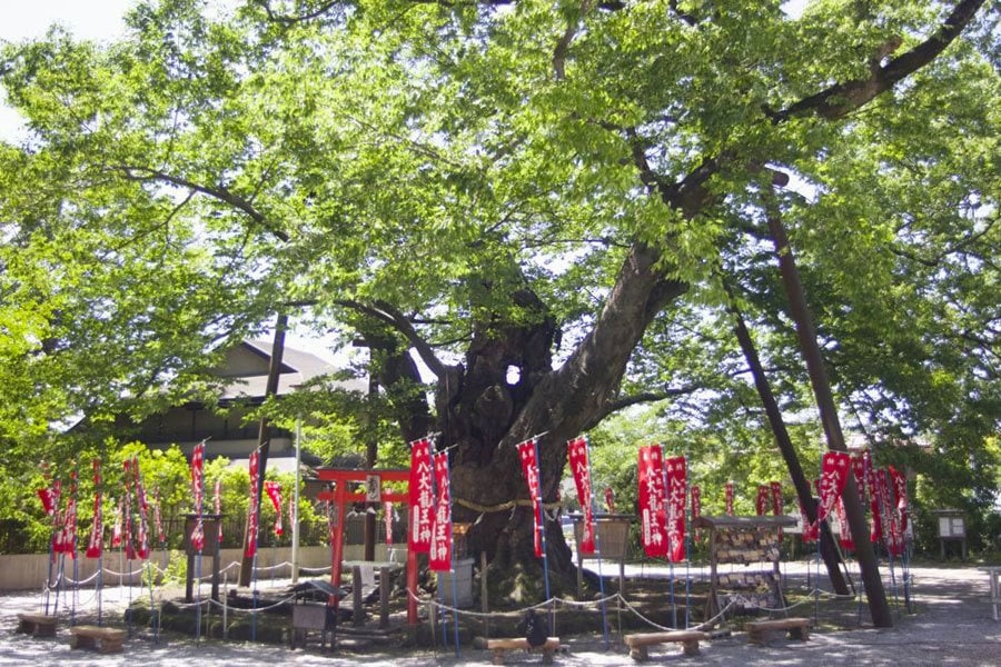 あなただけのパワースポット神社を鑑定します 第六感で相性のあう神社をお伝えします。 イメージ2
