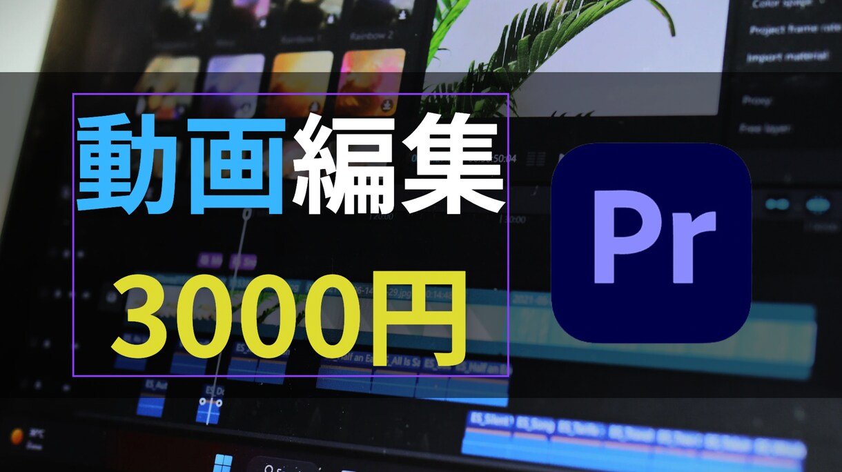 YouTube、SNS等の動画編集格安で行います 全般丸投げ3000円です　　　　 イメージ1