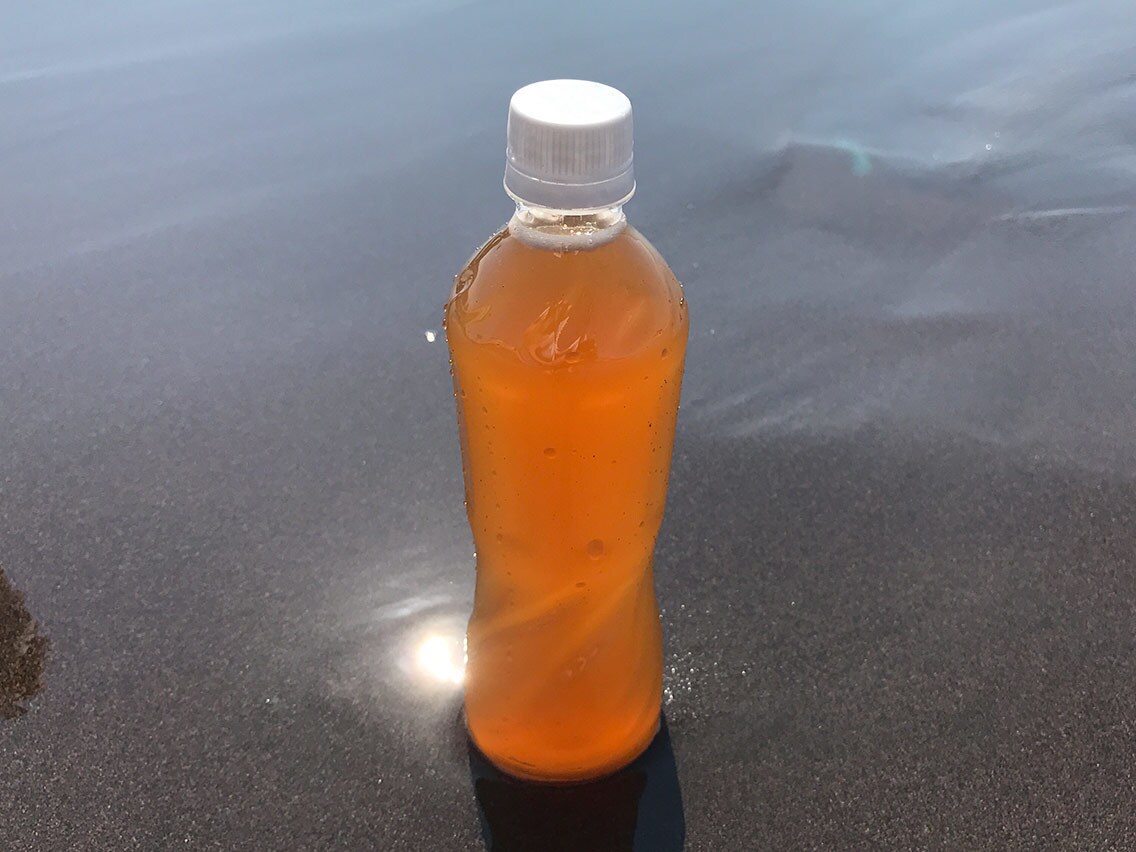 リバウンドを見越した酵素断食のやり方を教えます 自分専用「無添加・自然派」エンザイムダイエット イメージ1