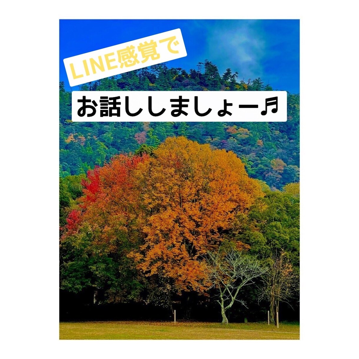 話し相手になります 少しお話したいなー♫そんなあなた私とお話していきませんか★？ イメージ1
