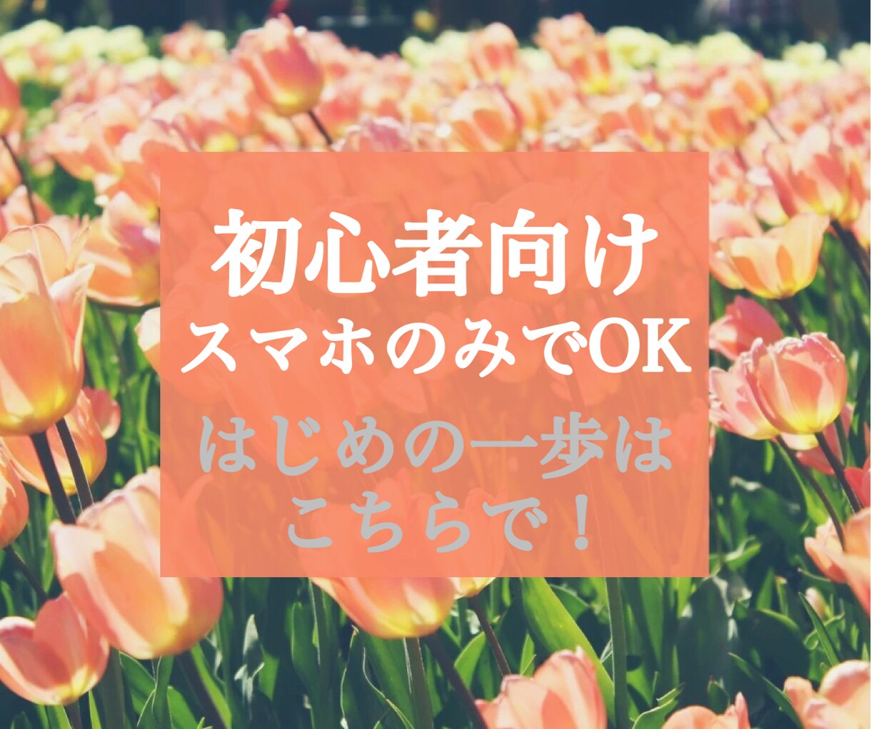 初心者向けです。はじめの一歩をサポートします 何をどうしたらいいのかわからない方にぴったりな方法です イメージ1