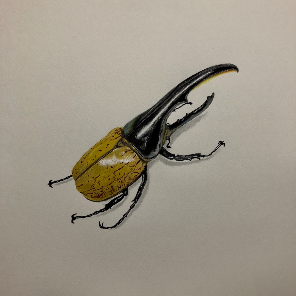 手書きの絵画でココロいやします なにかと忙しい毎日、手書きのイラストでココロいやします イメージ6