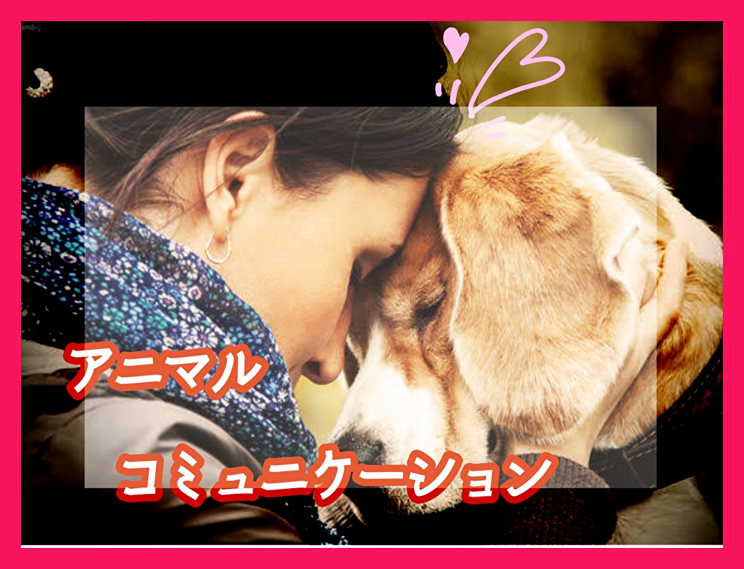 生きているペットのアニマルコミュニケーションします 【有効活用】してペットと「あなたの想い」を繋ぎます イメージ1