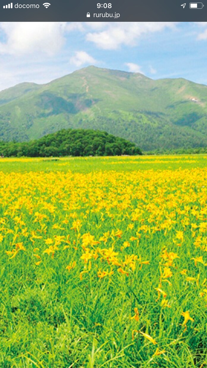 介護されている方の辛い気持ち受け止めます 介護がつらい、きつい、、正直な気持ちを吐きだしてください イメージ3