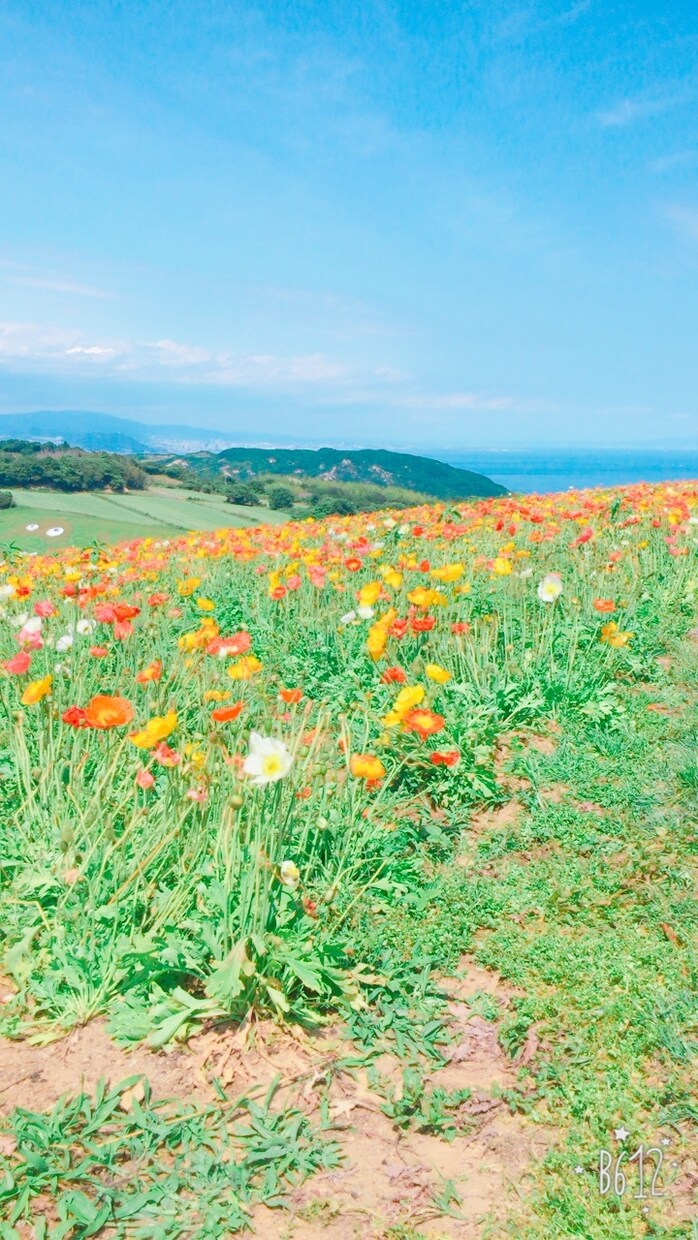 実体験をもとに恋愛相談アドバイスします "このまま付き合ってていいの？"一緒に解決策を探しましょう！ イメージ1