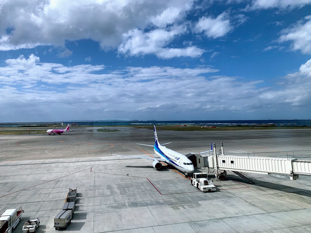 どの航空会社のマイルを貯めるべきか、ご紹介します 過去3年計150回の搭乗実績を誇る会社員が個別相談に応じます イメージ1