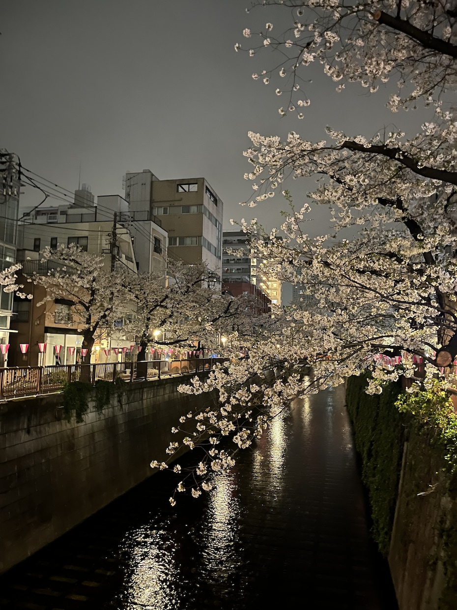 なんでもいいですよ。必ずその悩みには出口があります リラックスして、所詮赤の他人なんだし。 イメージ2