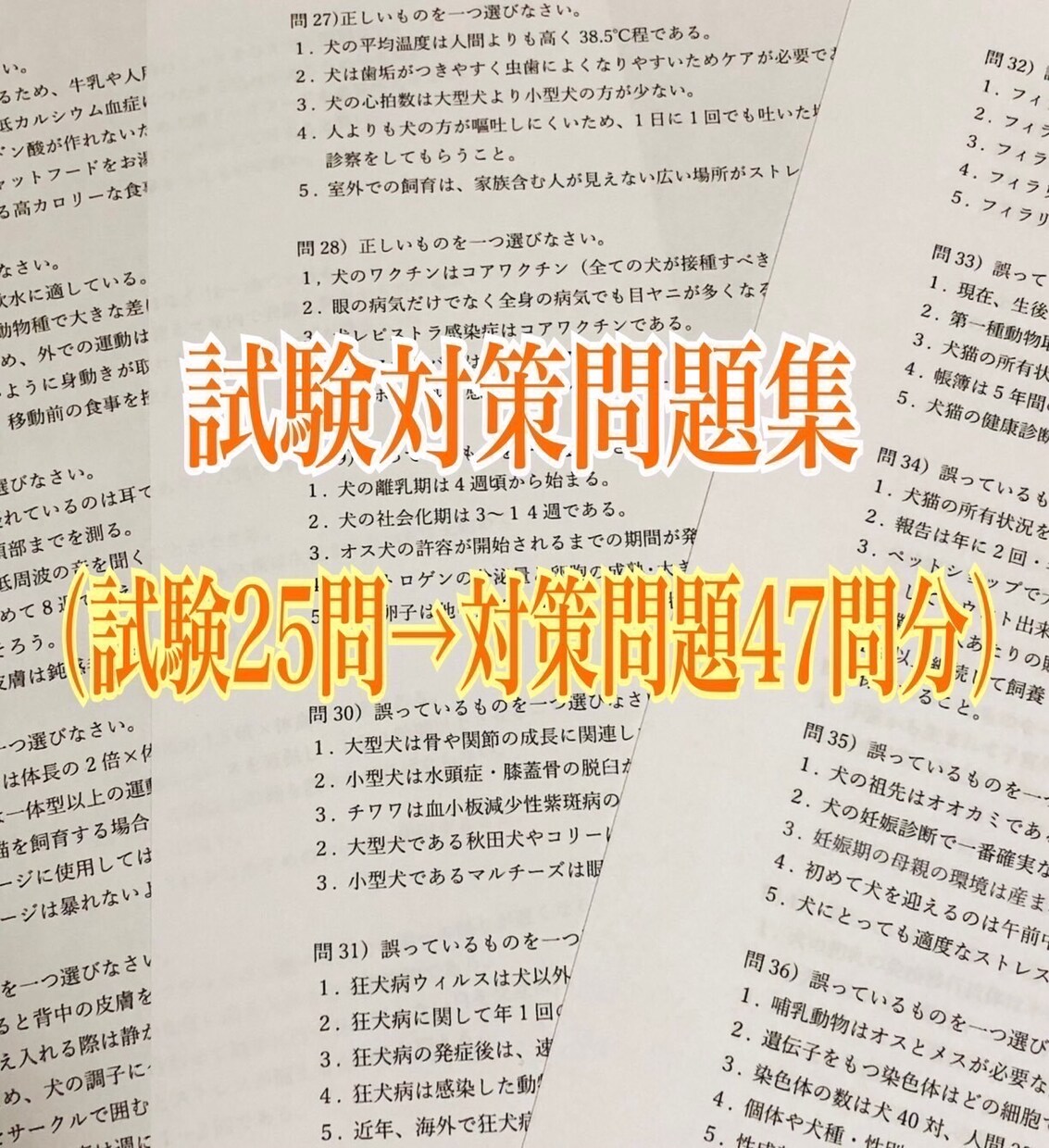 愛犬飼育管理士の試験対策まとめ&問題集を提供します 【過去問〜今後の法律改正まで】 イメージ5