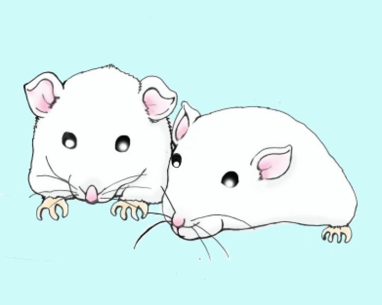 2020年年賀状子のイラストあります ネズミ幅広いテイストでお届け中 イメージ2