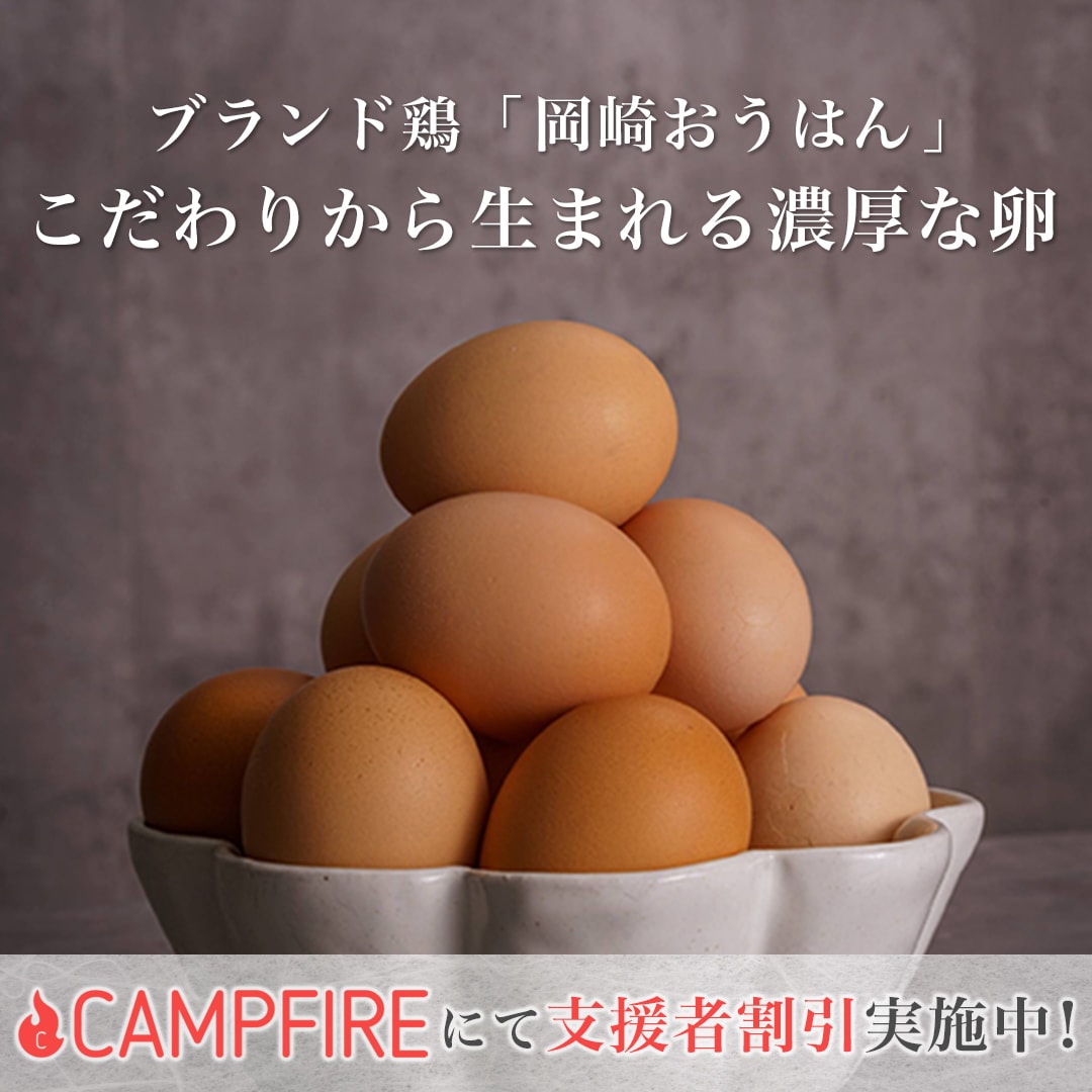 制作実績100件以上！高品質バナー広告制作致します 幅広いジャンルのバナー広告を低価格で丁寧に制作致します。 イメージ7