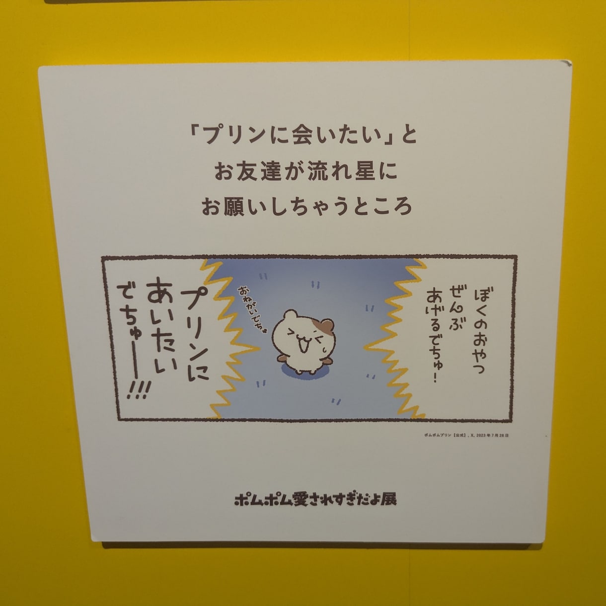 人との距離感・付き合い方の悩みを一緒に整理します 「ちょうどいい距離」を一緒に探すお話し相手です イメージ3