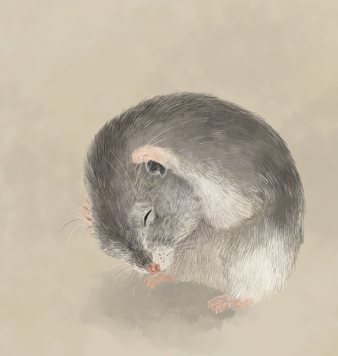 ハムスター・ウサギなどの小動物描きます ニッチな動物が好きなあなたへ　アイコンやスマホ待ち受けに！ イメージ2
