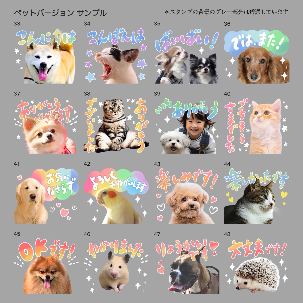 ペットのお写真でカラフルなLINEスタンプ作ります 犬、猫、エキゾチックアニマル、どんな種類でも大歓迎！ イメージ6