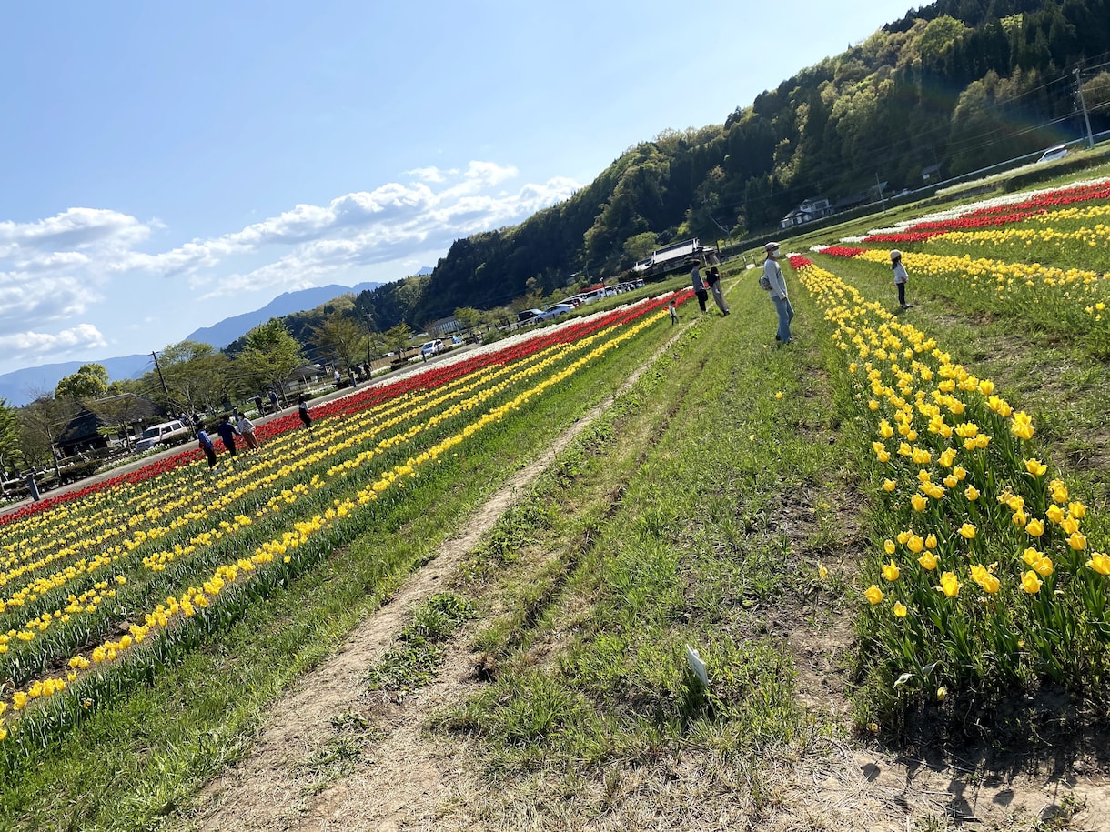 大分県についてのご質問やご依頼を承ります 旅行や、その他何でもご相談ください イメージ4