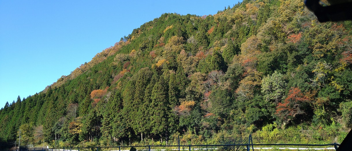 トークルームにて！頑張るアナタを応援、褒めます 一週間応援されて、褒められて頑張りませんか？ イメージ1