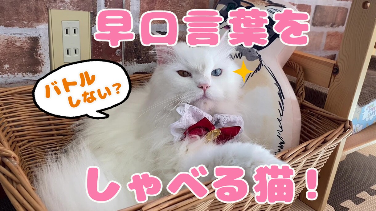 格安でYouTubeサムネイル作成致します 実績500枚以上！格安でyoutubeサムネ作成します！ イメージ9