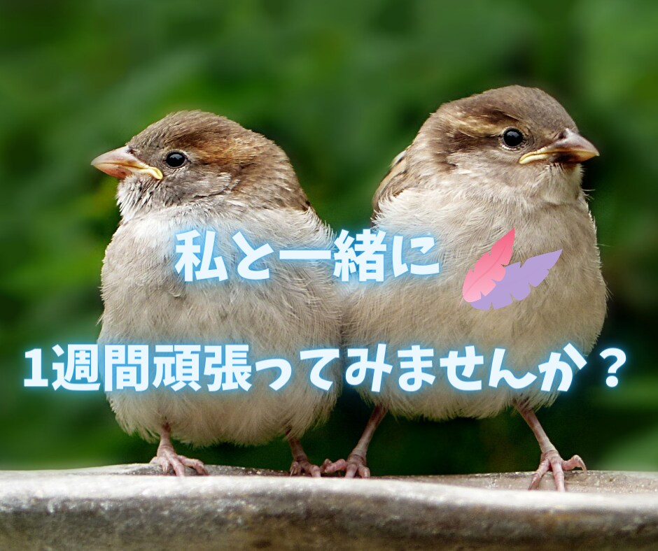 7日間⭐️ココナラ出品者様を優しくサポートします 初心者様応援✨二人三脚で安心☘️あなたの思いをカタチに イメージ4