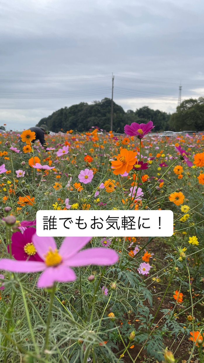 あなたのお話ゆっくり聞きます あなたの「話したい」を、安心して預けられる場所に。 イメージ1