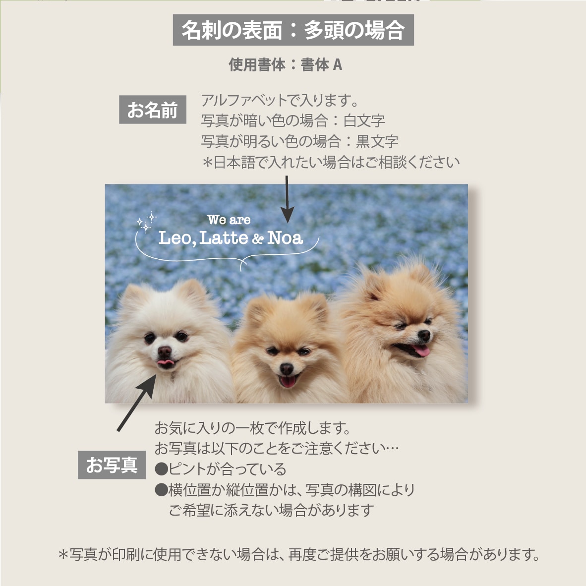 ペット・うちの子名刺をお気に入り写真で作成します デザイナーへのセミオーダーで両面印刷100枚送料込 イメージ5