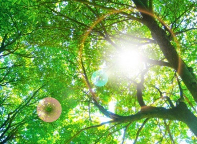 お話しませんか？世間話や愚痴、何でもお聞きします 誰かに聞いてほしい！そんな時には是非吐き出してください。 イメージ1
