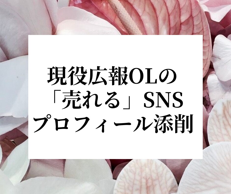 広報OLが「売れる」SNSプロフィールに添削します SNS総フォロワー数15000人のアカウント運用実績あり！ イメージ1