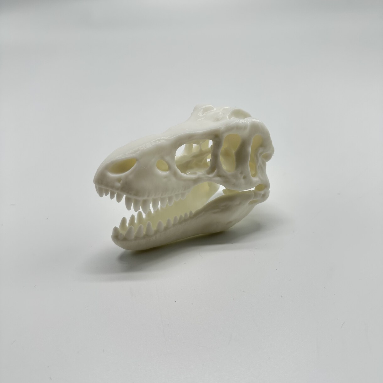 頂いた写真を3Dデータ作成・造形します 現物なしでOK！写真から3D化します！ イメージ5