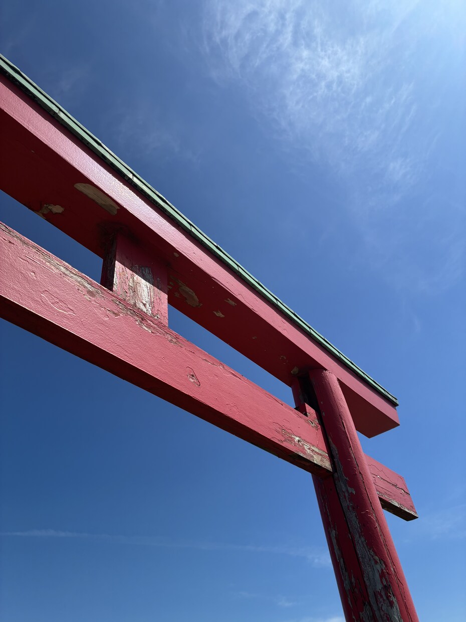 霊視鑑定致します あなたの今の悩みを深掘りして占っていきます♡ イメージ5