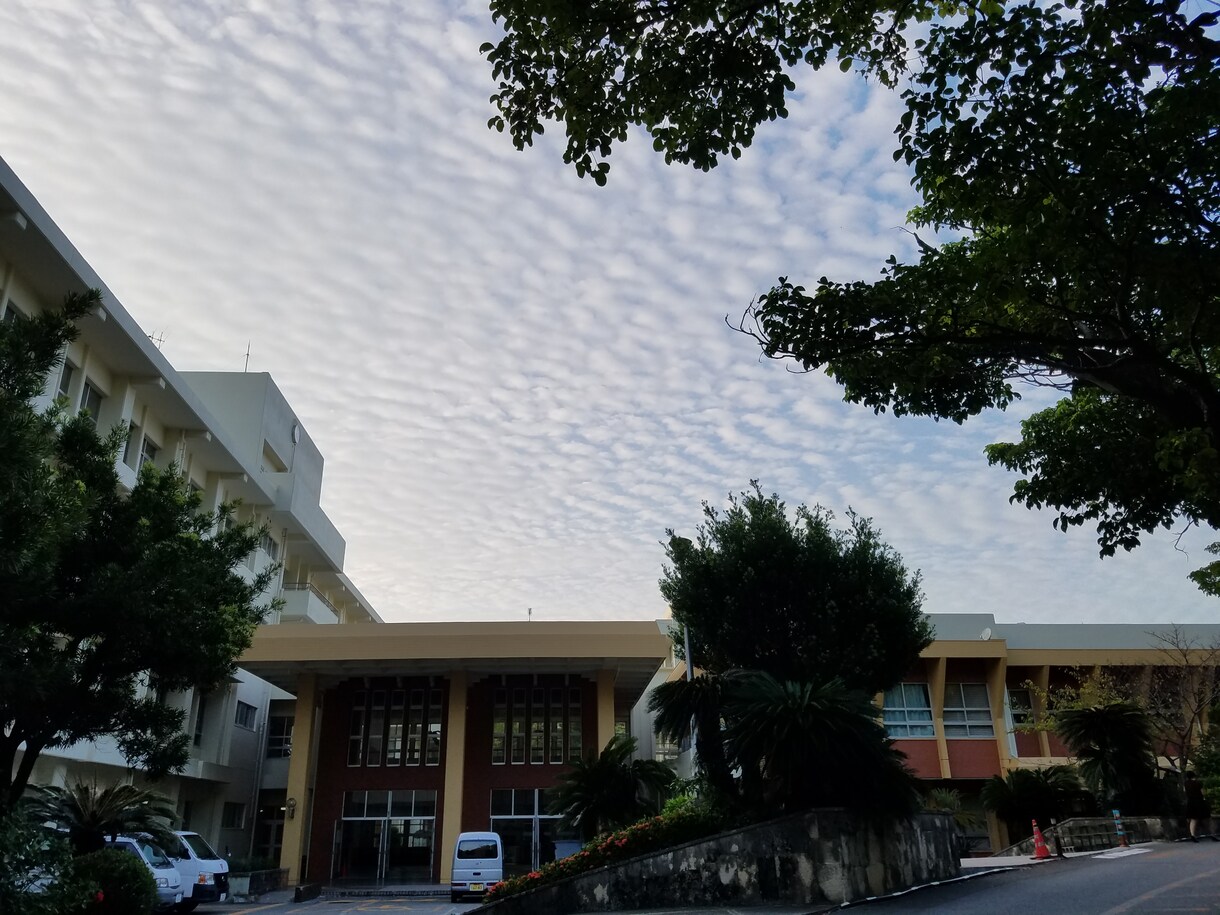 30枚)沖縄の写真を届けます 観光地としてではない、沖縄の良さを伝えたい！ イメージ3