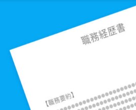 職務経歴書の〈雛形〉作成致します 面倒な面談なし！全てメッセージのやり取りで対応致します！ イメージ1