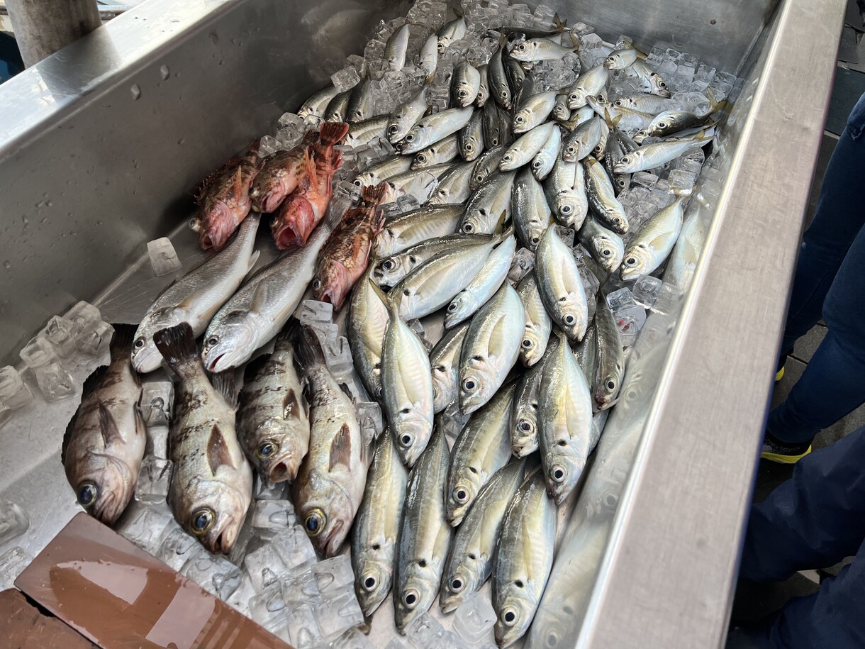 釣り初心者の「もっと釣りたい」悩みを解決します 釣り歴35年の釣りメディア編集長が相談に乗ります！ イメージ4