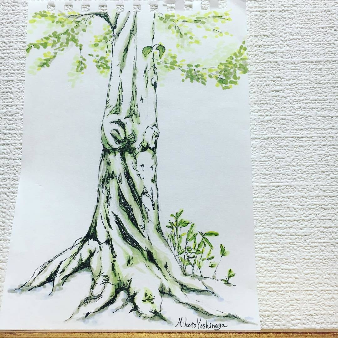 味のある植物のイラスト描きます 植物のある暮らしをまずは絵から始めませんか？ イメージ5
