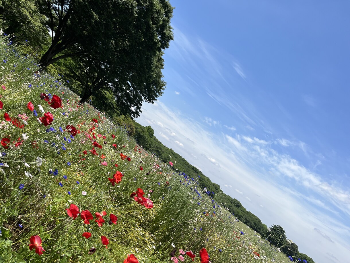 貴方のお話なんでも聞きます 誰かに話したいとき、寂しいとき、孤独感を感じたとき イメージ1