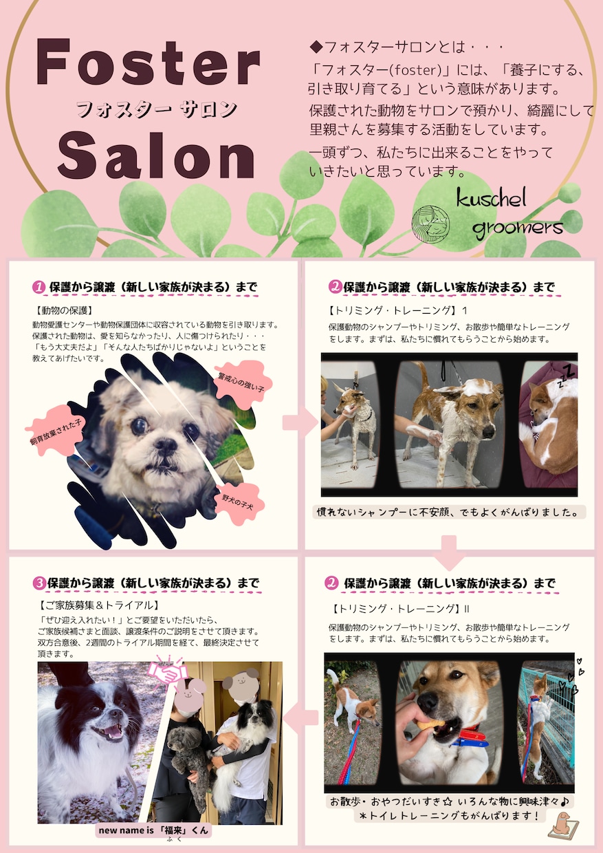 フライヤー・ポスターデザインします 予算内で作ります!お気軽にお問合せください。 イメージ3