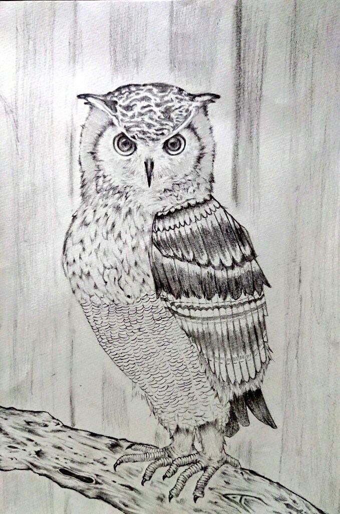 SNSアイコン制作承ります お客様が納得いくまで何でも描きます（似顔絵・キャラ・動物他） イメージ4