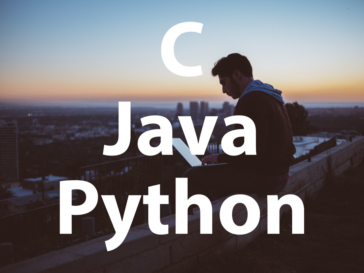 C言語/Java/Pythonの課題手伝います 現役情報系学生の確かな腕と丁寧な解説 イメージ1