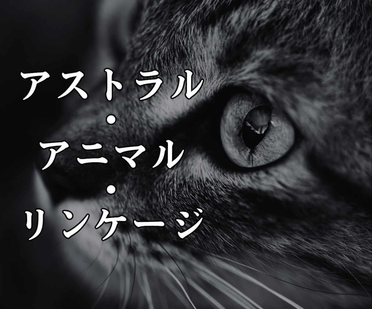 あなたの魂と共鳴する神聖なる守護動物を特定します あなたと宇宙、生命体とのつながりを目覚めさせる、魂の覚醒儀式 イメージ1