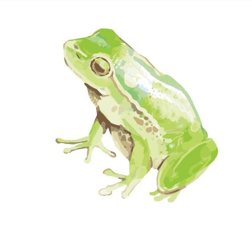 ふんわり優しいタッチでペットの似顔絵を制作します アイコンや待ち受けに♪プレゼントにも イメージ4